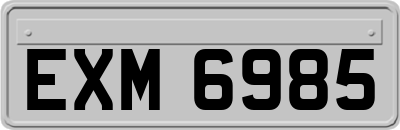 EXM6985