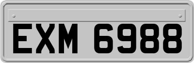 EXM6988