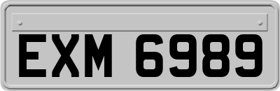 EXM6989