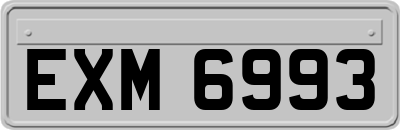 EXM6993