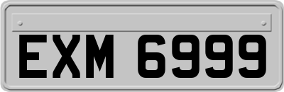 EXM6999