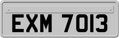 EXM7013