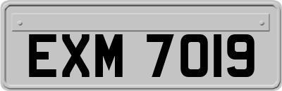 EXM7019