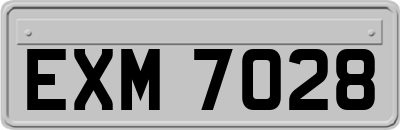 EXM7028