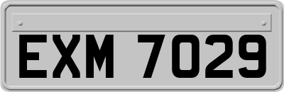 EXM7029