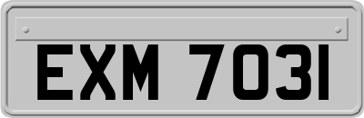 EXM7031