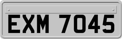 EXM7045