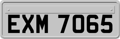 EXM7065