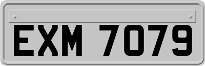 EXM7079