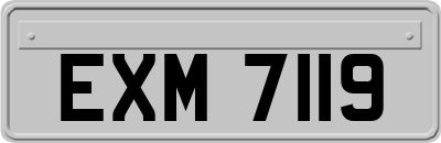 EXM7119