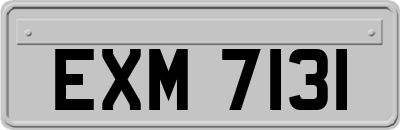 EXM7131