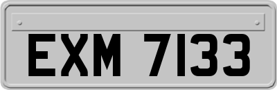 EXM7133