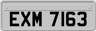 EXM7163
