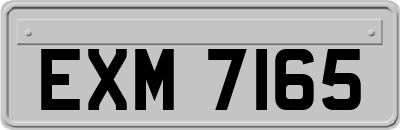 EXM7165