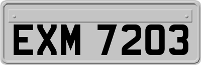 EXM7203