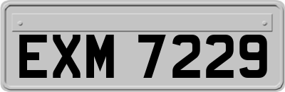 EXM7229