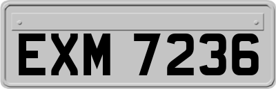 EXM7236