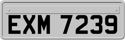 EXM7239