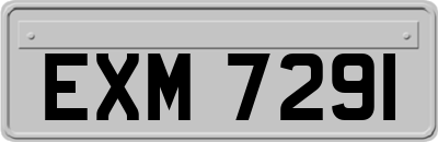 EXM7291