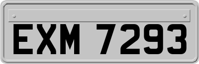 EXM7293