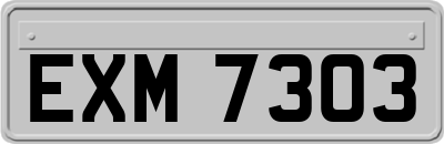 EXM7303