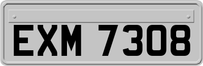 EXM7308