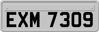 EXM7309