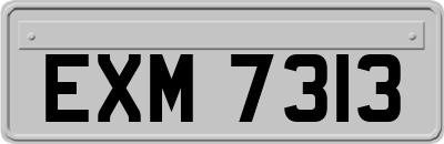 EXM7313