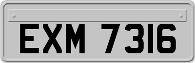 EXM7316