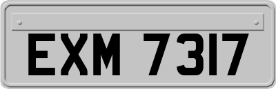 EXM7317