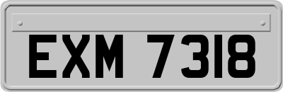 EXM7318