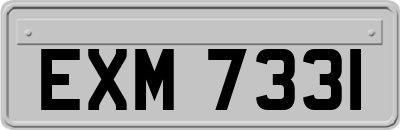 EXM7331