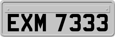 EXM7333