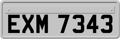 EXM7343