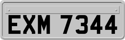 EXM7344