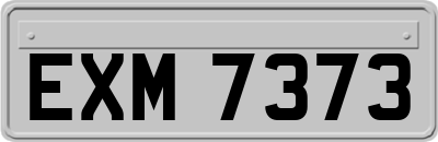 EXM7373