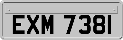 EXM7381