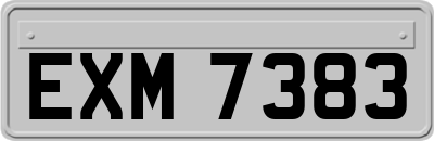EXM7383