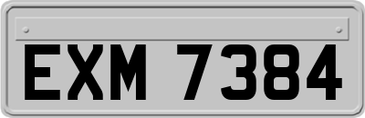 EXM7384