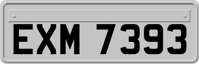 EXM7393
