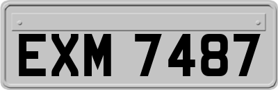 EXM7487