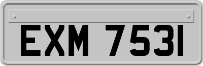 EXM7531