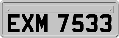 EXM7533