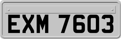 EXM7603
