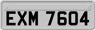 EXM7604