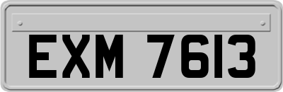 EXM7613