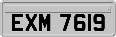 EXM7619