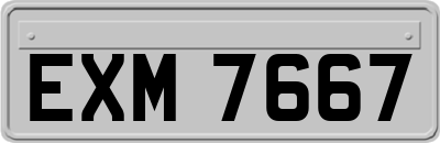 EXM7667