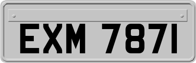 EXM7871