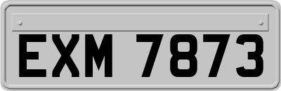 EXM7873